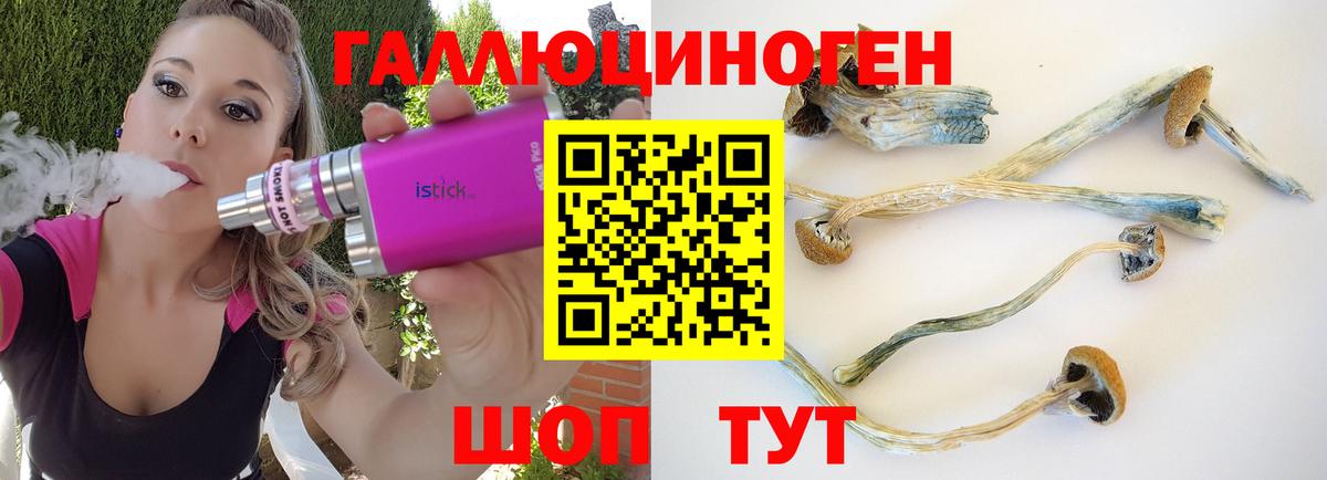 Галлюциногенные грибы Magic Shrooms Дубна