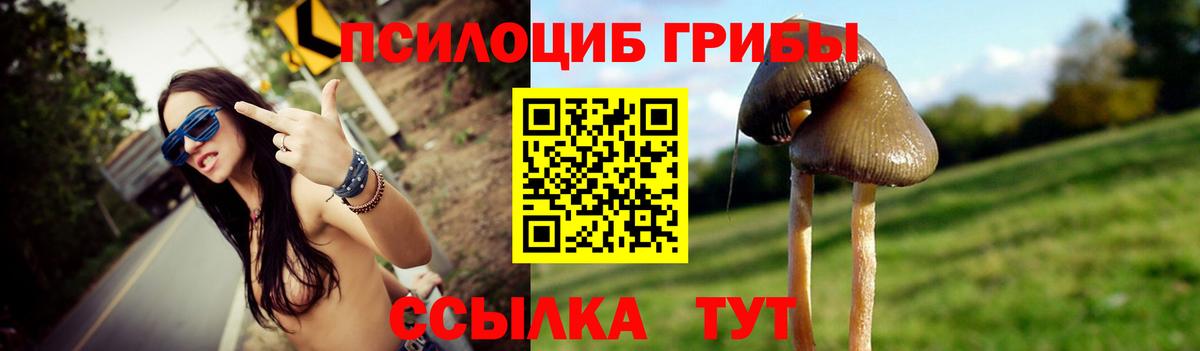 Галлюциногенные грибы мицелий  Вход с VPN  Псилоцибиновые грибы прущие грибы  Дубна 