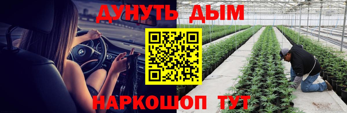 Бошки Шишки VHQ Дубна